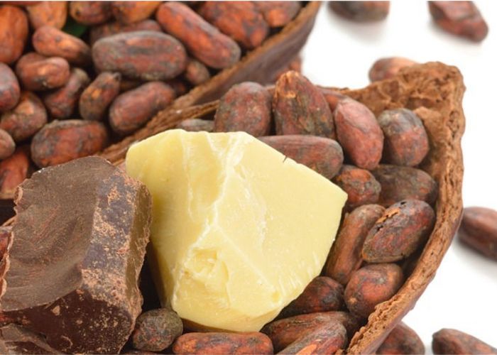 At What Temperature Does Cocoa Butter Typically Melt?