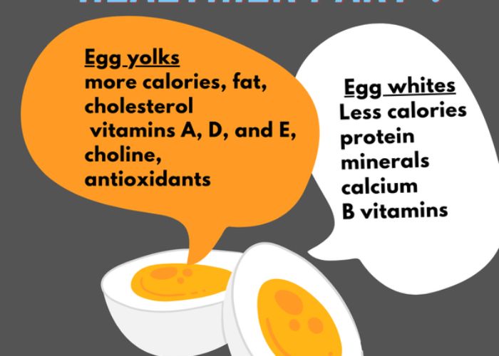 What is the Average Weight of an Egg Yolk in Grams?